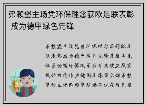 弗赖堡主场凭环保理念获欧足联表彰 成为德甲绿色先锋
